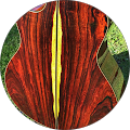 czorr1997 Avatar